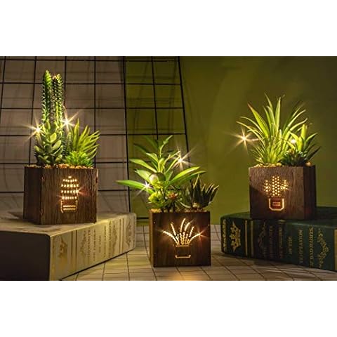 BEGONDIS Set of 3 Artificial Succulents with Led Lights in Wooden Box, Artificial Plants Plastic Fake Topiary for Home/Office Decorations, Table Centerpiece Cover