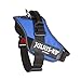 Julius-K9, 16IDC-B-2, IDC Powerharness, Dog Harness, Size: 2, Blue