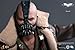 Hot Toys - Bane 1/6 Scale Action Figure Batman The Dark Knight Rises Movie Masterpiece