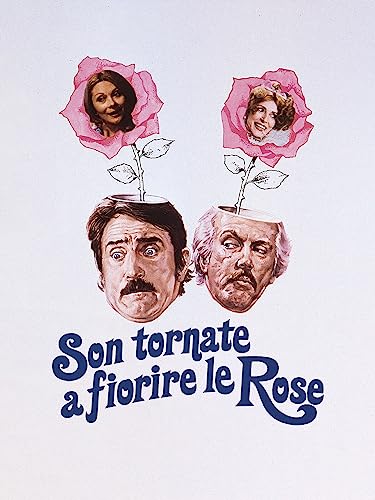 Son tornate a fiorire le rose
