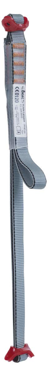 Beal Mobile-lanyard