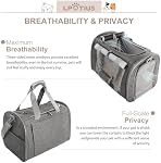 Cat Carriers Dog Carrier Pet Carrier for Small Medium Cats Dogs Puppies up to 30 Lbs, Portable Soft Sided Collapsible Pet Carrier for Traveling Indoor Outdoor Uses Grey
