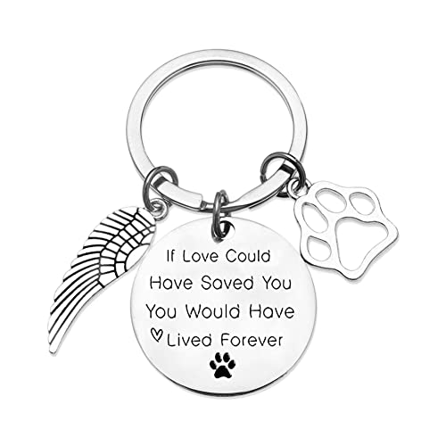In Memory of Dog Cat Keychain Loss of Dog Sympathy Remembrance Gift Bereaved Pets Gift Dog Keychain Memorial Keepsakes Bereavement Gifts for Loss of Pet Cat Keyring