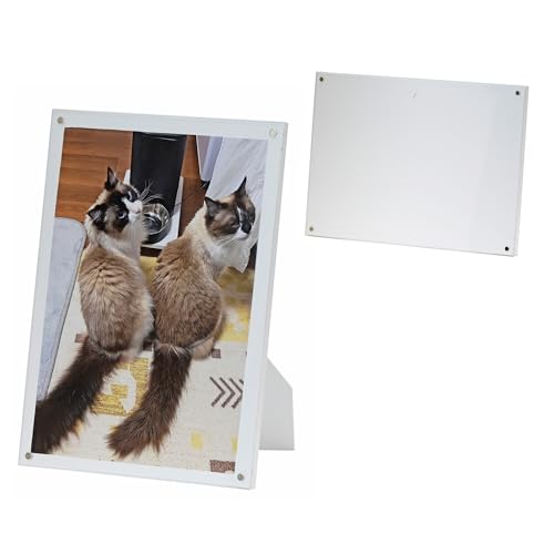 Gc~ tHgt[ }Olbg CeA }Ot[ A4 B5 2L TCY cp X^ht z Mtg v[g LO ʐ^ W fBXvC zCg VE-5607