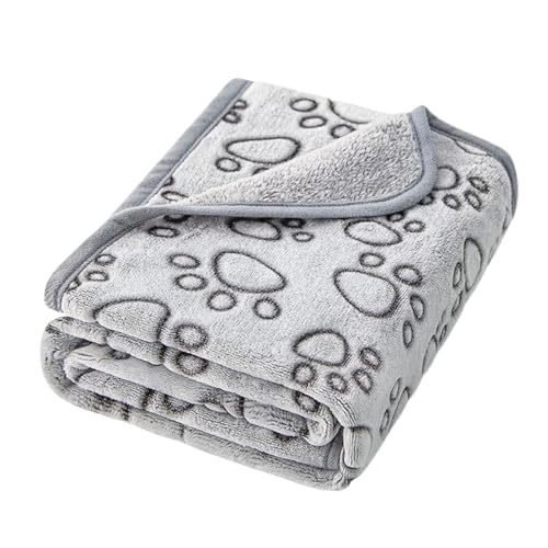 L̑ՃvguPbg \Ń\tg pJE`uPbg F sgpɍœK xbhƃ\t@یp (1040x760mm)