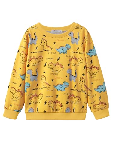 Arshiner Toddler Boy Crewneck Sweatshirt Long Sleeve Pullover Graphic Shirts for Kid Fall Tops Tees 2-10 Years