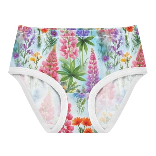Joisal Fancy Girls Underwear Toddler 2t Cotton Little Girl Panties Wildflower Pink Lupines Colorful Underpants Briefs