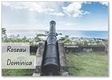 Photomagnet