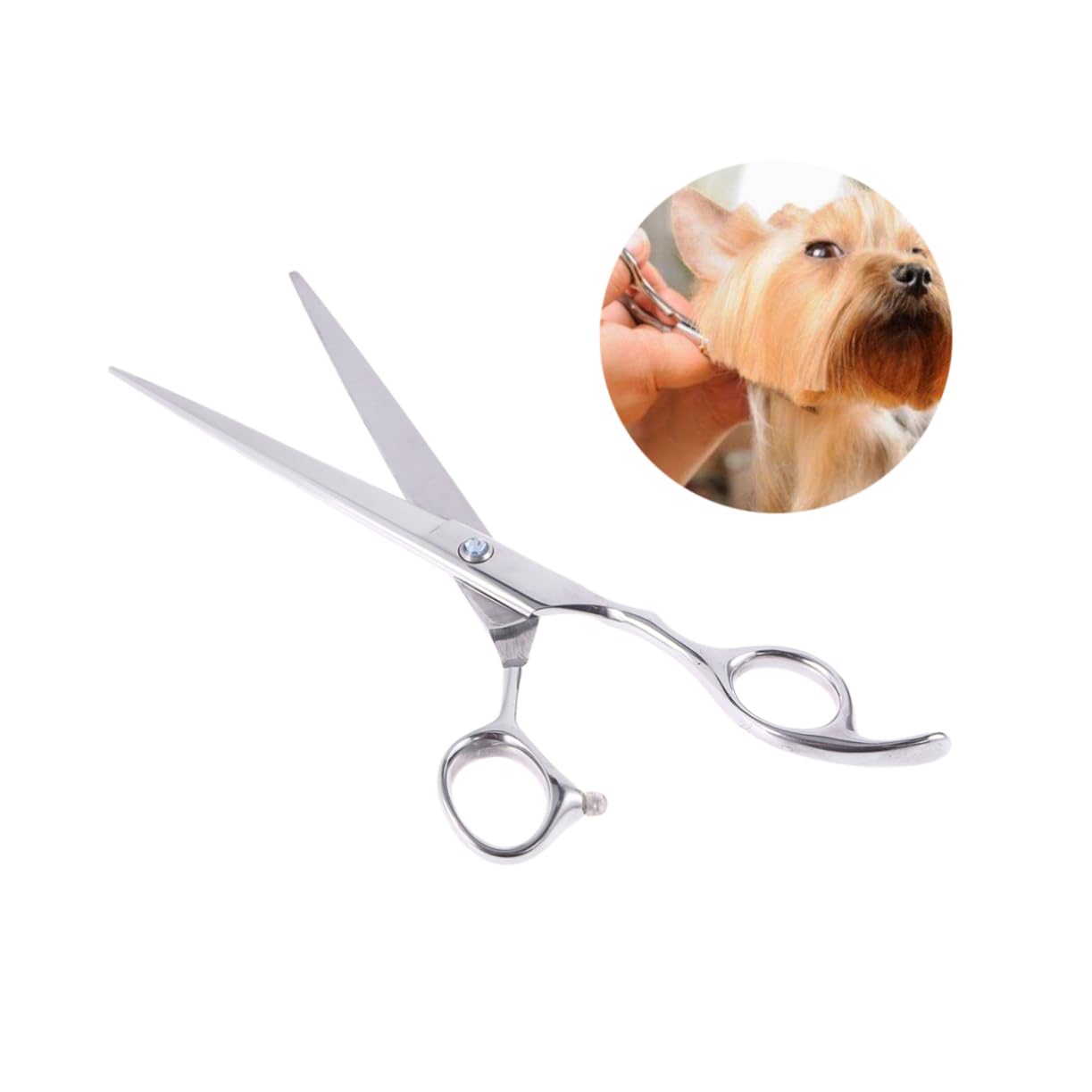 Kisangel 3 Piezas tijeras de ojal tijeras para oficina cortar con herramientas de peluquería para mascotas para peinar perros pelo de perro herramienta de peluquería colocar