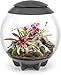 BiOrbAIR 60 Litre Automatic Terrarium in Grey with LED Lighting