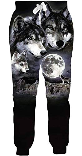ALISISTER Hommes Femmes Joggers Pants 3D imprimé Graphric Sport Jogging Pantalon Casual Sweatpants Cover