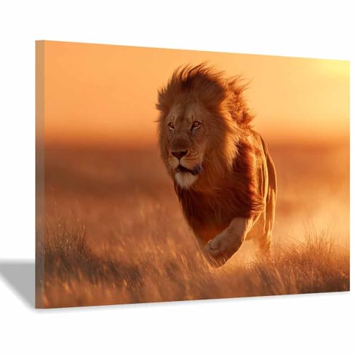 Poster lion marron113 grand format pour réchauffer une pièce de vie blanche