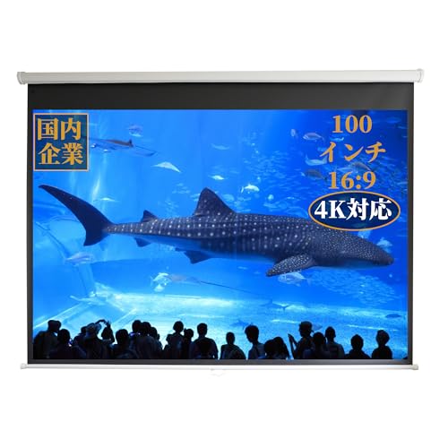 Amazon | 株式会社TOP.STAR 吊り下げ プロジェクタースクリーン