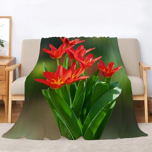 Plaid polaire tulipes rouges contre le froid lit simple chaud - 3