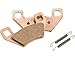 Polaris Snowmobiles Brake Pads, Genuine OEM Part 2204137, Qty 1