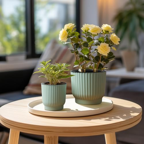 T4U Zelf bewaterende potten van 10 cm, 6 stuks, plastic plantenpotten met houder, vensterbank bloemenpotten voor alle binnen- en buitenplanten, Afrikaanse viooltjes (groen) - Afbeelding 6