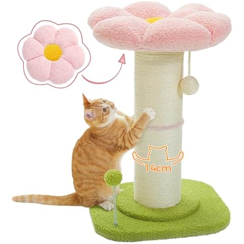 PAWZ Road Flower Cat Scratching Post with Bed Cover