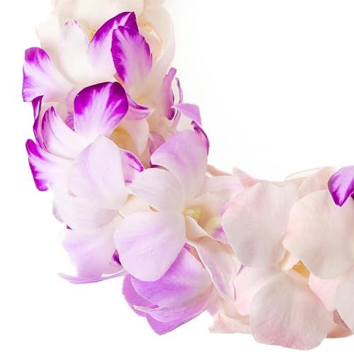 Generic SPLASH Fresh Cut Orchids Flower Leis Pink thumb #2