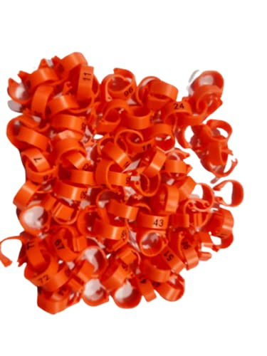 Acro Pigeon Leg Plastic Foot Clip Rings Band 8mm 100PCS 1-100 Serial Number for Dove Cocktail Parrot Chick & Other Birds Tags Orange Colour (B094NPVRB7) Amazon Price History, Amazon Price Tracker