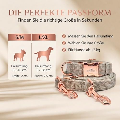 FREUDENTIER Hundehalsband und Hundeleine 2m im Set - Classic Kollektion