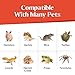 Everydayers Gecko Cave Reptile Feeding Tray – Naturalistic Pet Dish for Lizards, Snakes, Bearded Dragons, Tortoises & Turtles - Glow in The Dark - Small