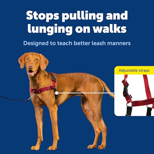PetSafe Easy Walk Harness Red Medium by