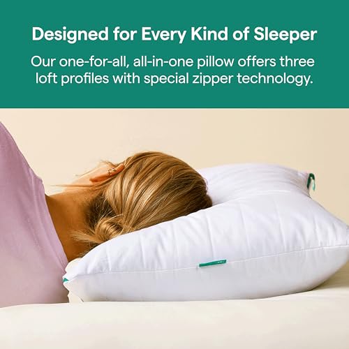 DE BESTE VERSTELBARE TRAAGSCHUIM BEDKUSSEN VOOR NEK- EN RUGSTEUN VOOR ZIJ-, RUG- EN BUIKSLAPERS - STANDAARD/QUEENSIZE