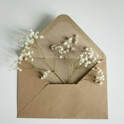 96 unidades de flores secas de flor de bebé blanca miniatura 4