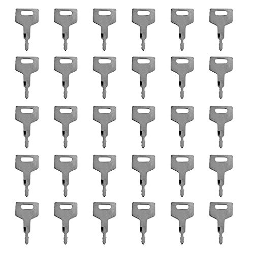 Hachiparts 30PCS Chiave di Accensione H806 180845