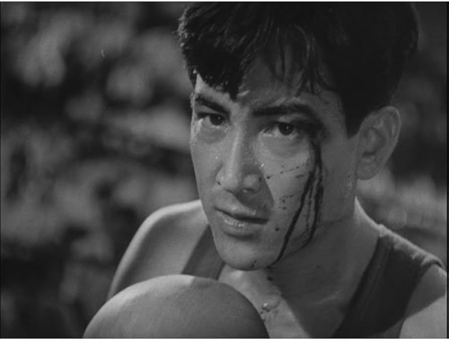 Amazon.co.jp: 大学の虎 松竹新三羽烏傑作集 SYK-134 [DVD] : 鶴田浩二