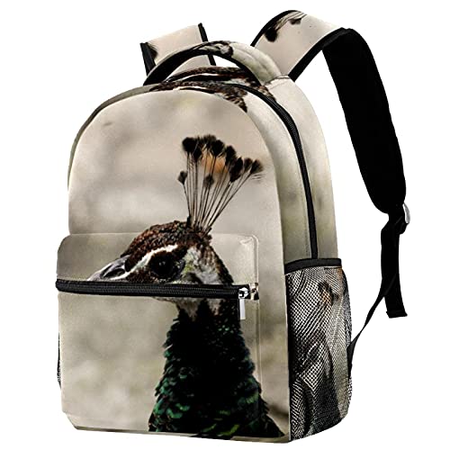 Sac à dos de voyage homme femme motif ciel - Grand volume cabine