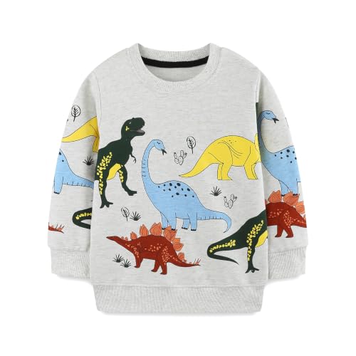 Image of LitBud Boys Sweatshirts Toddler Clothes Dinosaur Casual Jumper Boy Cotton Top T Shirt Long Sleeve Crewneck Pullover Grey for Kid Autumn Size 6-7 Years Old 7T Thanksgiving Gifts