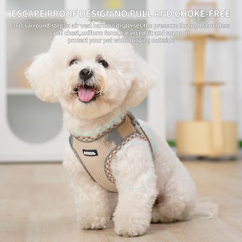 AIITLE Kleines Hundegeschirr, Katzengeschirr mit Leine, einstellbares Hundegeschirr mit Schnellverschluss, reflektierende Weste für extra kleine Hunde und Hauskatzen Braun-Beige XXS