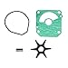 Honda 06192-ZW1-000 Pump Kit Impeller