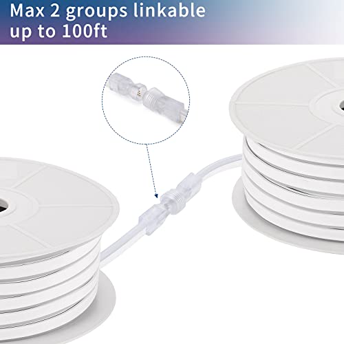 Fort 100Ft Led Rgb Neon Rope Light-120V Neon Light Strip, Ip65 Waterproof/Flexible/Multi-Modes/Dimmable+Controller For Indoor&Outoor Home/Garden/Pool/Party/Building Decoration Use 30M #TOP2