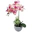 Pink|1 bouquet