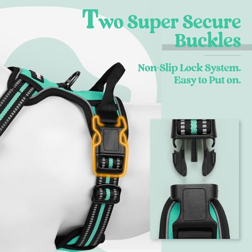 Image of rabbitgoo Dog Harness No Pull with 2 Leash Clips, Adjustable Soft Padded, Reflective Oxford No Choke Pet Vest with Easy Control Handle for Small Dogs, Turquoise, S