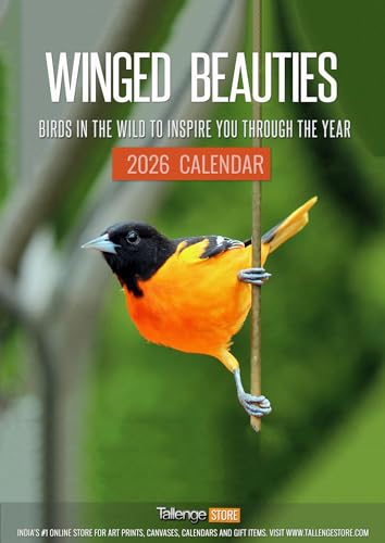 Image of Tallenge - Winged Beauties - 2026 Wall Calendar - 12 x 17 Inches for Home & Office (Paper, Wall Calendar)