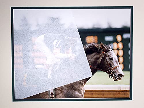 Archival Methods Archival Buffered Tissue, 8.5X11(480 Sheets Per Package) #TOP2