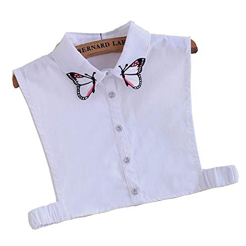 Ainial   p fB[X t Ci[ Vc d˒ tFCN ̎hJ   U tH[} JWA ʋ ʊw  R[f  t 