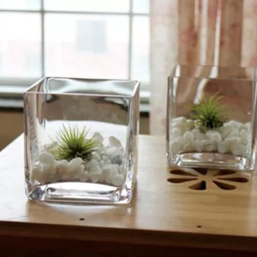 Vase transparent pour branches et succulentes décor de table moderne - 6