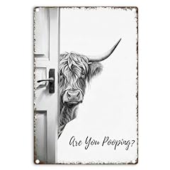 Black Highland cattle