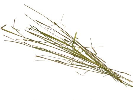BISON GRASS 5L - Bison Vodka | Grass Vodka | Vodka Essence | Spirit Essences | Herbs by AlcoFermBrew