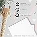 Designs by Maria Inc. Set of 4 UNFRAMED Animal Photos | Baby Safari Nursery Decor | Woodland Animal Wall Art | Jungle Nursery Decor | Jungle Theme Wall Decor | Baby Animals Print for Wall Art (8