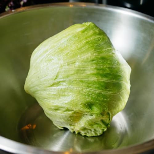 semi di lattuga iceberg biologici - balcone in serra fresca coltivazione invernali resistenti per il giardino 500pcs