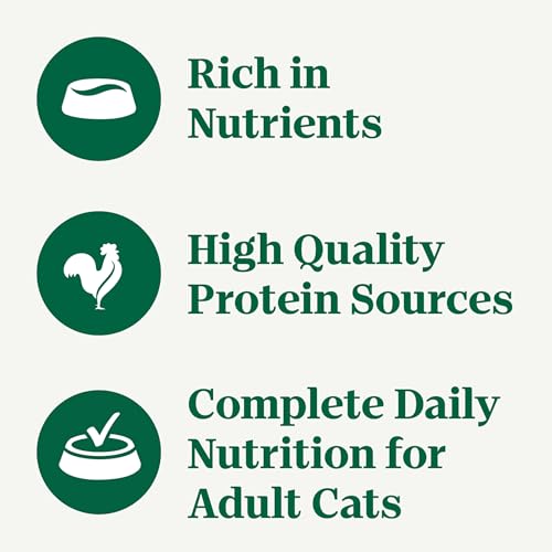 Image of Nutro Perfect Portions Cuts Wet Cat Food, Salmon, 2.6 oz, 24 ct