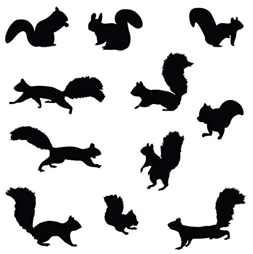Innovative Stencils Squirrel Wall Decal Nursery Sticker Set Add to Tree Wall Decals Decor for Kids Rooms #1250 (12 Squirrel Decals Included) (Matte Black)