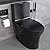 BOSTANA One Piece Toilet,1/1.6 GPF Dual Flush Toilet with 15.1"W Soft-Close Seat,Modern American Standard Elongated Toilet for Bathrooms with 17"Comfort Height Seat,12"Rough-in (Matte Black)