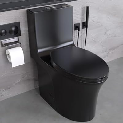 BOSTANA One Piece Toilet,1/1.6 GPF Dual Flush Toilet with 15.1"W Soft-Close Seat,Modern American Standard Elongated Toilet for Bathrooms with 17"Comfort Height Seat,12"Rough-in (Matte Black)