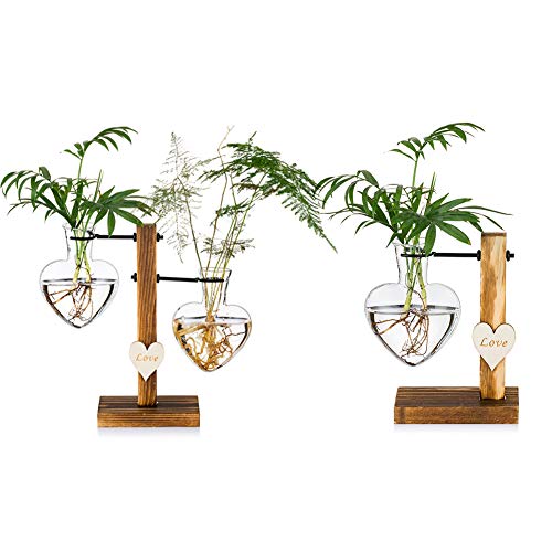 2 Piezas Jarrón De Cristal con Soporte De Madera, Maceta Hidropón...